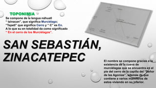 SAN SEBASTIÁN,
ZINACATEPEC El nombre se compone gracias a la
existencia de la cueva de
murciélagos que se encuentra en el
pie del cerro de la capilla del “Señor
de las Agonías”, además de que
contiene a varios mamíferos de
estos viviendo en su inferior.
Se compone de la lengua náhuatl
“ tzinacan”, que significa Murciélago;
“Tepetl” que significa Cerro y “ C” es En.
A lo que su en totalidad da como significado
“ En el cerro de los Murciélagos”.
TOPONIMIA
 