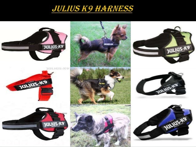 julius harness