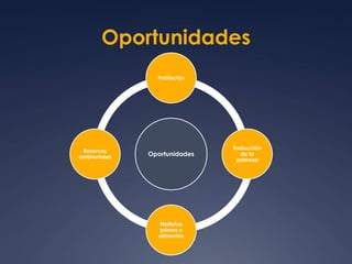 Oportunidades 
Población 
Oportunidades 
Reducción 
de la 
pobreza 
Materias 
primas y 
alimentos 
Reservas 
ambientales 
 