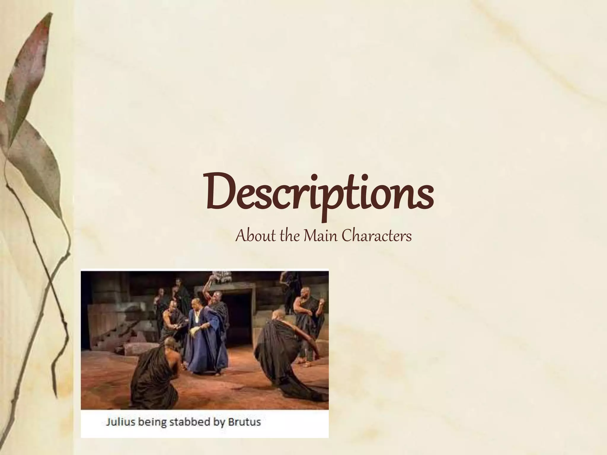 Descriptions
About the Main Characters
 