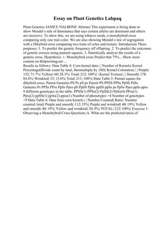 Essay on Plant Genetics Labpaq
Plant Genetics JANICE NALBONE Abstract This experiment is being done to
show Mendel s rule of dominance that says certain alleles are dominant and others
are recessive. To show this, we are using tobacco seeds, a monohybrid cross
comparing only one trait color. We are also showing Mendel s law of segregation
with a Dihybrid cross comparing two traits of color and texture. Introduction Three
purposes: 1. To predict the genetic frequency off offspring. 2. To predict the outcomes
of genetic crosses using punnett squares. 3. Statistically analyze the results of a
genetic cross. Hypothesis: 1. Monohybrid cross Predict that 75%... Show more
content on Helpwriting.net ...
Results as follows: Data Table 4: Corn kernel data.| | Number of Kernels| Kernel
Percentage(Divide count by total, thenmultiply by 100)| Kernel Coloration| | | Purple|
152| 71.7%| Yellow| 60| 28.3%| Total| 212| 100%| | Kernel Texture| | | Smooth| 178|
84.4%| Wrinkled| 33| 15.6%| Total| 211| 100%| Data Table 5: Punnet square for
dihybrid cross. Parent Gametes PS Ps pS ps Parent PS PPSS PPSs PpSS PsSs
Gametes Ps PPSs PPss PpSs Ppss pS PpSS PpSs ppSS ppSs ps PpSs Ppss ppSs ppss
9 different genotypes in the table. PPSS(1) PPSs(2) PpSS(2) PpSs(4) PPss(1)
Ppss(2) ppSS(1) ppSs(2) ppss(1) Number of phenotypes =4 Number of genotypes
=9 Data Table 6: Data from corn kernels.| | Number Counted| Ratio: Number
counted /total| Purple and smooth| 112| 53%| Purple and wrinkled| 40| 19%| Yellow
and smooth| 40| 19%| Yellow and wrinkled| 20| 9%| TOTAL| 212| 100%| Exercise 1:
Observing a Monohybrid Cross Questions A. What are the predicted ratios of
 