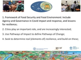 1. Framework of Food Security and Food Environment: Include
Agency and Governance in Covid impact and response, and lessons
for resilience;
2. Cities play an important role, and are increasingly interested;
3. Use Pathways of Impact to define Pathways of Change;
4. Seek to determine real (elements of) resilience, and build on these;
 