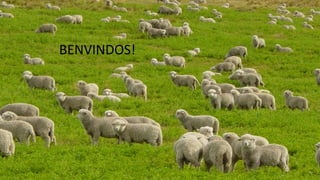 BENVINDOS!
BENVINDOS!
 