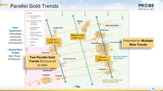 10
Parallel Gold Trends
Two Parallel Gold
Trends Discovered
to date
Potential for Multiple
New Trends
▷ New
Exploration
Techniques
previously
undetected
mineralization
▷ Seeing More
Targets
High Power
Geophysics
 