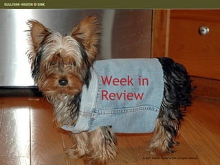 Week in Review © 2007 Sullivan Higdon & Sink. All rights reserved. 