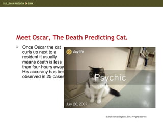 Meet Oscar, The Death Predicting Cat. Once Oscar the cat curls up next to a resident it usually means death is less than four hours away. His accuracy has been observed in 25 cases. 