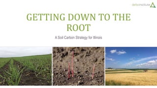 GETTING DOWN TO THE
ROOT
A Soil Carbon Strategy for Illinois
 