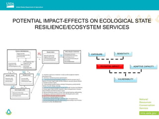 EXPOSURE SENSITIVITY
ADAPTIVE CAPACITYPOTENTIAL IMPACT
VULNERABILITY
POTENTIAL IMPACT-EFFECTS ON ECOLOGICAL STATE
RESILIENCE/ECOSYSTEM SERVICES
 
