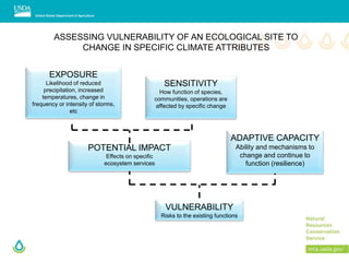 EXPOSURE
Likelihood of reduced
precipitation, increased
temperatures, change in
frequency or intensity of storms,
etc
SENSITIVITY
How function of species,
communities, operations are
affected by specific change
ADAPTIVE CAPACITY
Ability and mechanisms to
change and continue to
function (resilience)
POTENTIAL IMPACT
Effects on specific
ecosystem services
VULNERABILITY
Risks to the existing functions
ASSESSING VULNERABILITY OF AN ECOLOGICAL SITE TO
CHANGE IN SPECIFIC CLIMATE ATTRIBUTES
 
