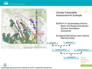 Climate Vulnerability
Assessment-An Example
MLRA 41-3- Southeastern Arizona
Basin and Range-Chihuahuan-
Sonoran Semidesert
Grasslands
Ecological Site-Sandy Loam Upland
R041XC319AZ
EXPOSURE SENSITIVITY
ADAPTIVE CAPACITYPOTENTIAL IMPACT
VULNERABILITY
Vulnerability assessment from Wyndam et al 2017, USDA SW Climate Hub
 