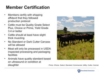Member Certification
• Members certify with shipping
affidavit that they followed
production protocol
• Cattle must be Quality Grade Select
Plus, Choice or Prime, Yield Grade
3.4 or better
• Cattle should at least have slight
thick muscling
• No Standard or Dark Cutter Carcass
will be allowed
• Meat will only be processed in USDA
inspected processing and packaging
facilities
• Animals have quality standard based
on ultrasound or condition at
slaughter Prime, Choice, Select, Standard, Commercial, Utility, Cutter, Canner
 