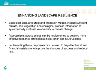 ENHANCING LANDSCAPE RESILIENCE
• Ecological Sites and State and Transition Models include sufficient
climate, soil, vegetation and ecological process information to
systematically evaluate vulnerability to climate change
• Assessments across scales can be implemented to develop more
effective response strategies at field, ranch and MLRA scales.
• Implementing these responses can be used to target technical and
financial assistance to improve the chances of success and reduce
risk.
 