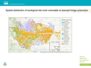 Spatial distribution of ecological site most vulnerable to reduced forage production
 