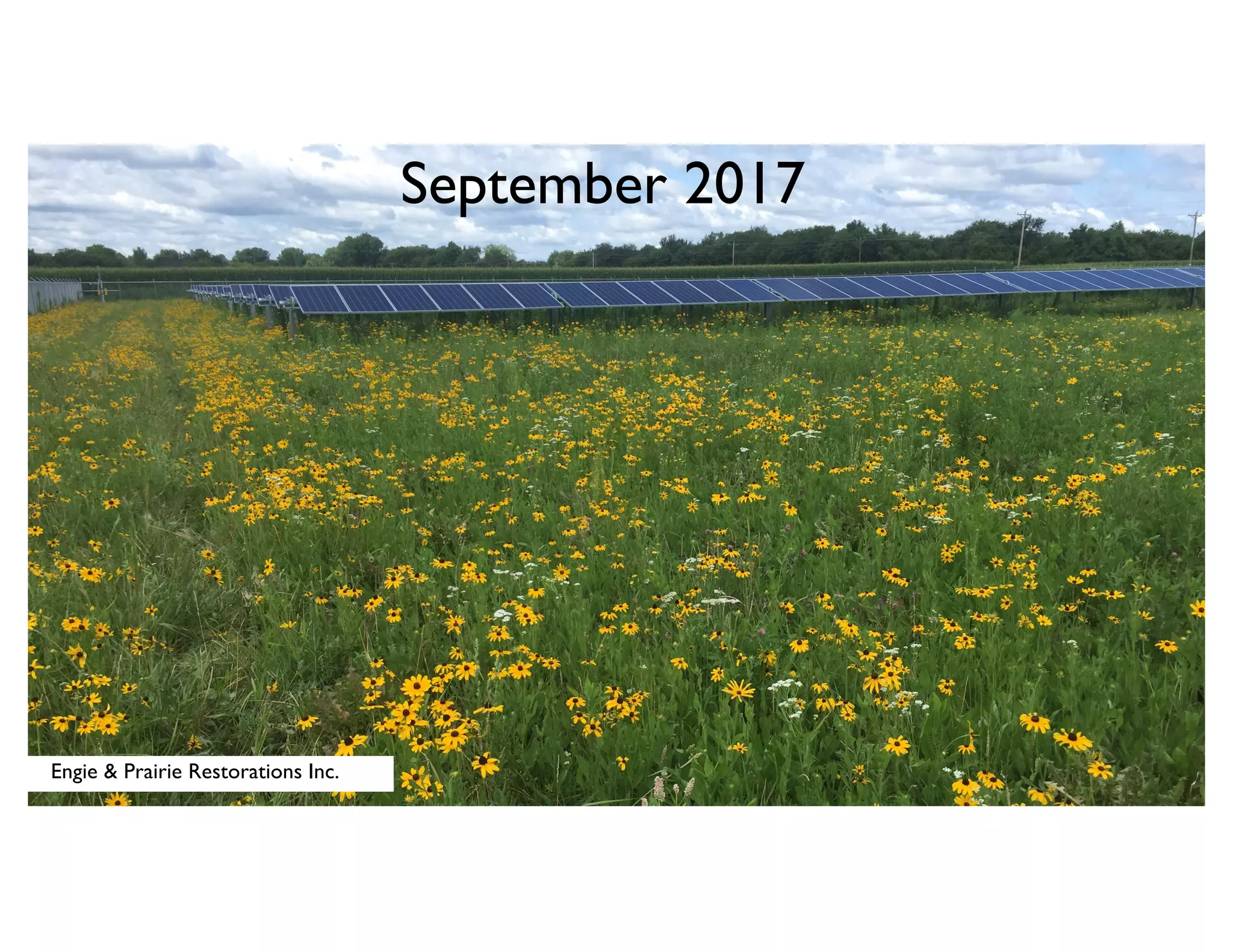Engie & Prairie Restorations Inc.
September 2017
 