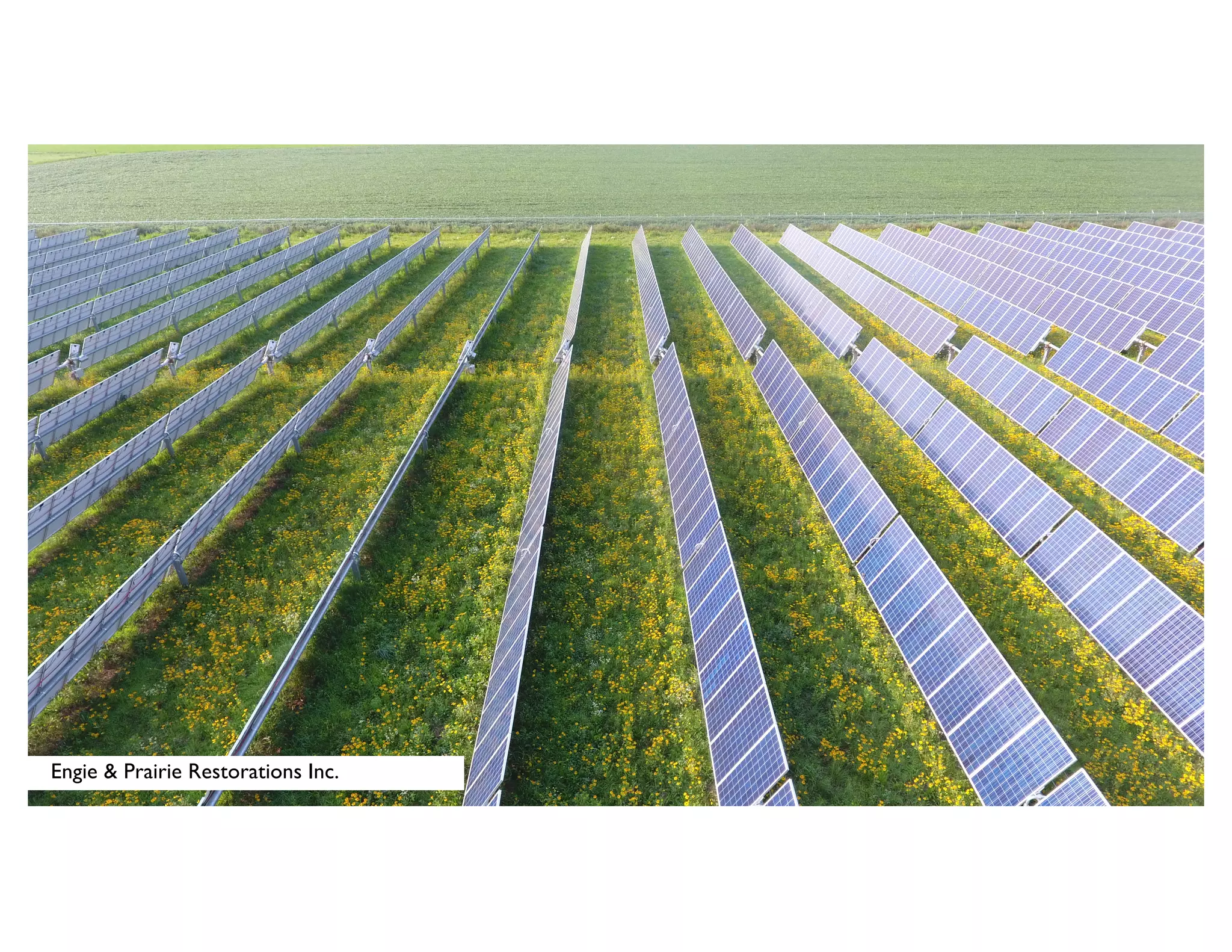 Engie & Prairie Restorations Inc.
 