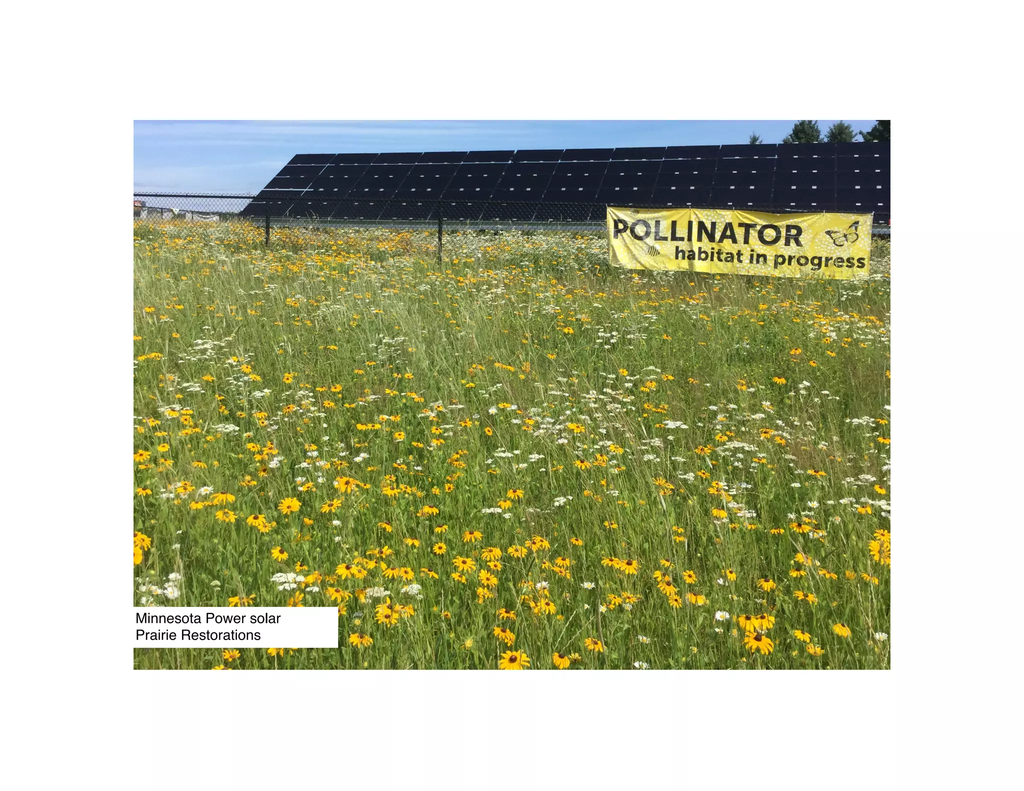 Minnesota Power solar
Prairie Restorations
 
