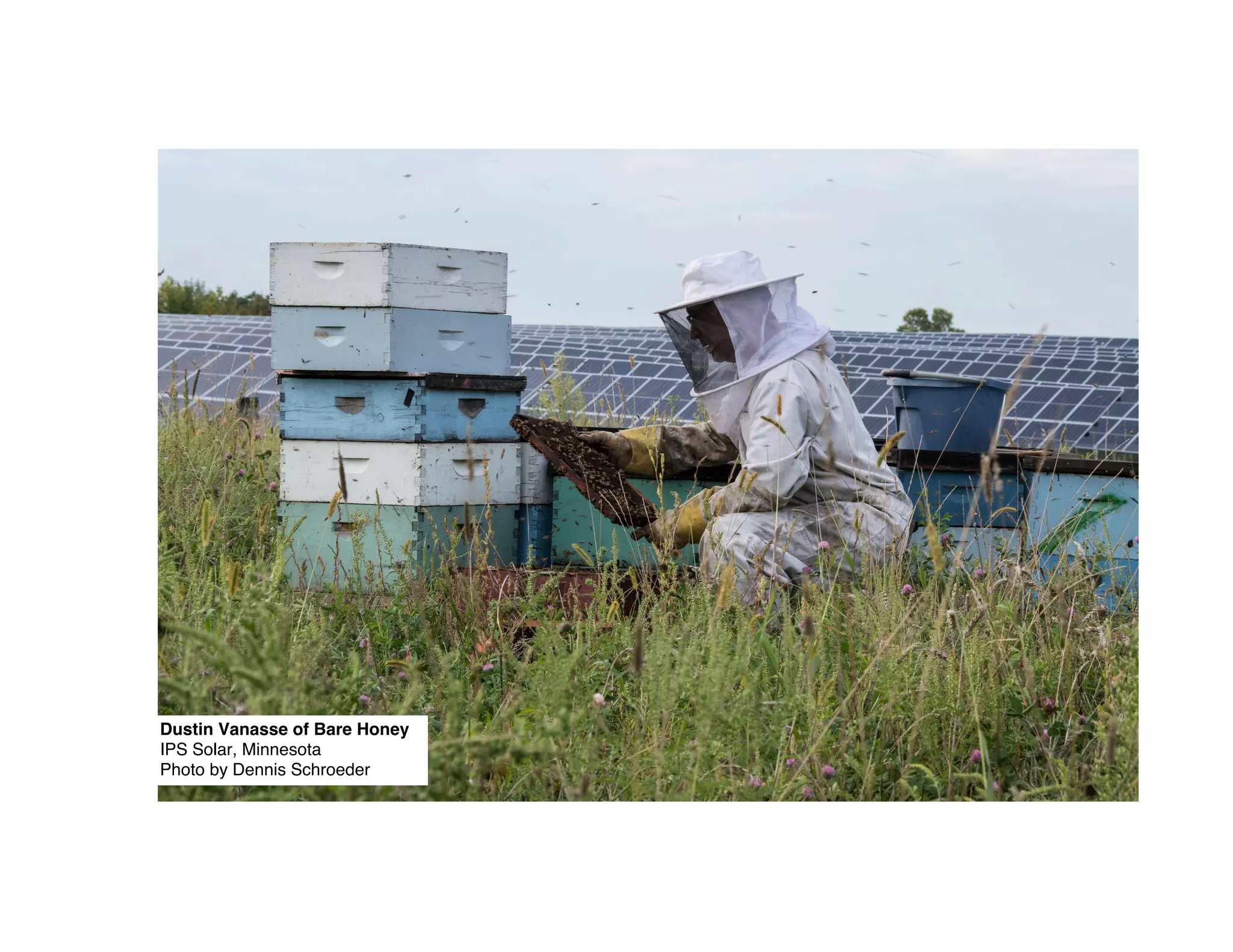 Dustin Vanasse of Bare Honey
IPS Solar, Minnesota
Photo by Dennis Schroeder
 