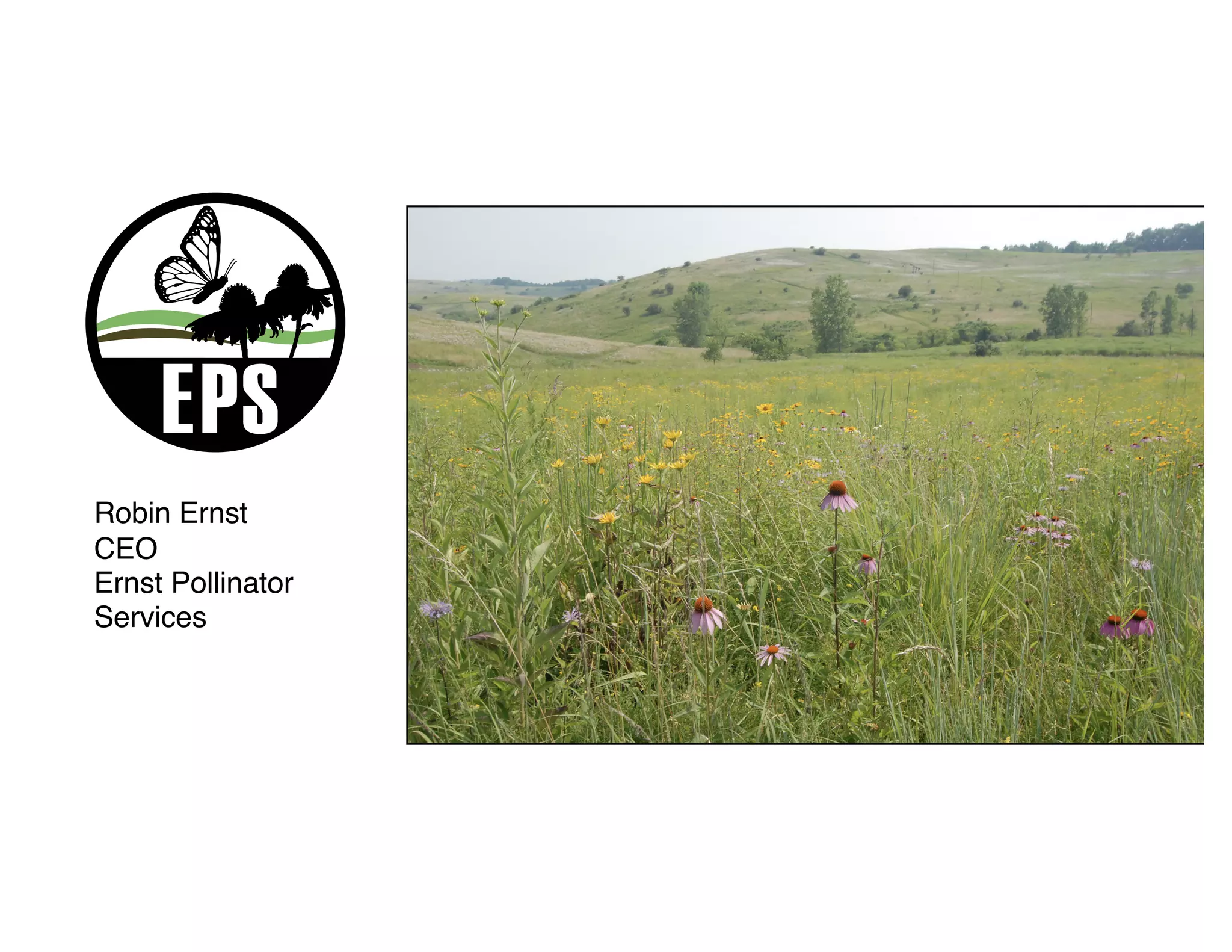Robin Ernst
CEO
Ernst Pollinator
Services
 
