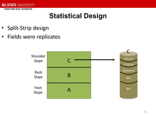 Statistical Design
• Split-Strip design
• Fields were replicates
10
C
B
A
0-5 cm
5-10 cm
Bottom A
Bt1
Bt2
C
Shoulder
Slope
Back
Slope
Foot
Slope
 