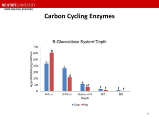Carbon Cycling Enzymes
0
100
200
300
400
500
600
700
0-5 cm 5-10 cm Bottom of A Bt1 Bt2
ugp-nitrophenyl/gsoil/hour
Depth
B-Glucosidase System*Depth
Crop Hay
b
a
c
d
e
ef f f ff
16
 