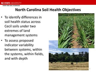 North Carolina Soil Health Objectives
• To identify differences in
soil health status across
Cecil soils under two
extremes of land
management systems
• To assess proposed
indicator variability
between systems, within
the systems, within fields,
and with depth
5
 