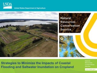Strategies to Minimize the Impacts of Coastal
Flooding and Saltwater Inundation on Cropland
 
