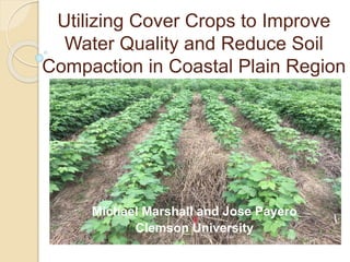 Utilizing Cover Crops to Improve
Water Quality and Reduce Soil
Compaction in Coastal Plain Region
Michael Marshall and Jose Payero
Clemson University
 