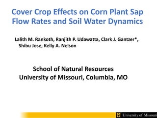 Cover Crop Effects on Corn Plant Sap
Flow Rates and Soil Water Dynamics
Lalith M. Rankoth, Ranjith P. Udawatta, Clark J. Gantzer*,
Shibu Jose, Kelly A. Nelson
School of Natural Resources
University of Missouri, Columbia, MO
 