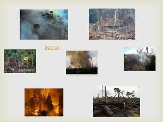 ÍNDICE
 