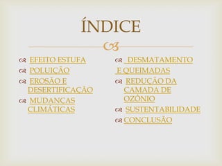 ÍNDICE
              
 EFEITO ESTUFA    DESMATAMENTO
 POLUIÇÃO        E QUEIMADAS
 EROSÃO E         REDUÇÃO DA
 DESERTIFICAÇÃO     CAMADA DE
 MUDANÇAS          OZÔNIO
 CLIMÁTICAS        SUSTENTABILIDADE
                   CONCLUSÃO
 