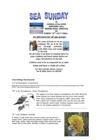 Cherishing Churchyards
A-Z of Churchyard Conservation
Reprinted w ith permission fromCaring for God's Acre, the conservation charity forchurchyardsand burialgrounds, 01588
673041, http://www.caringforgodsacre.org.uk/
"W" is for Woodpecker - Green Woodpecker
The largest of our three species of woodpecker (the others being the
Great Spotted and Lesser Spotted) and one of our most colourful
birds, easily recognised by its laughing “yaffle” call as it flies. They
have a great love of yellow meadow ants, and will return day after
day to a favourite anthill to feed. Another important reason to look
after our old meadow grassland in churchyards.
"X" is for Xanthoria parietina
A foliose or leafy lichen with common names such as common
orange lichen, yellow scale and maritime sunburst lichen. Look for
fairly large, wrinkly, leafy and bright orange lichen with some small
orange discs in the centre, although in shade it is greenish-grey.
 