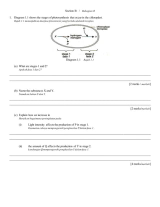 July Test Biology Form 4 Docx