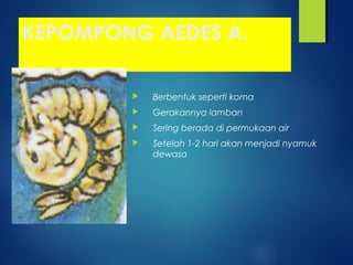 KEPOMPONG AEDES A.
 Berbentuk seperti koma
 Gerakannya lamban
 Sering berada di permukaan air
 Setelah 1-2 hari akan menjadi nyamuk
dewasa
 