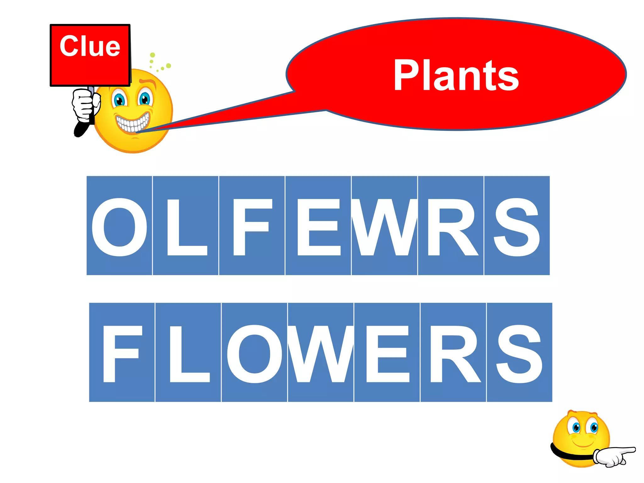 Clue
Plants
F LOWERS
OL F EWRS