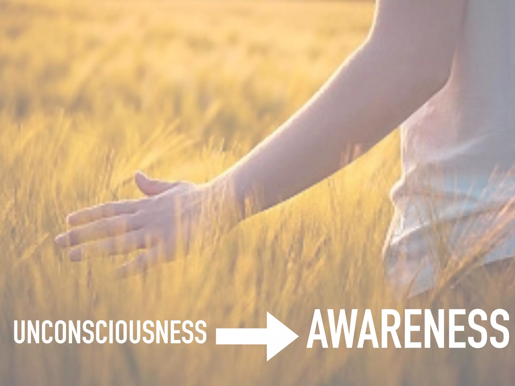 SELF-CRITICISM
SELF-
COMPASSION
 