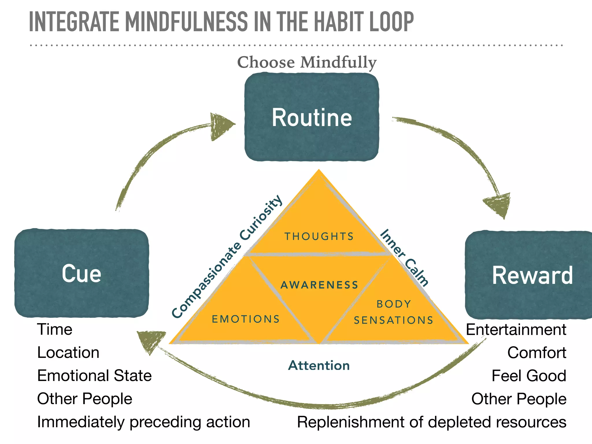 MINDFULNESS & THE HABIT LOOP: EXERCISE
Cue
Alarm
reminder
Zumba
Joy &
Community
Routine
Reward
People who reported being mindful during exercise also generally reported satisfaction
with exercise, which was related to more exercise.*
Tsafou KE1, De Ridder DT2, van Ee R3, Lacroix JP4. 2015
 