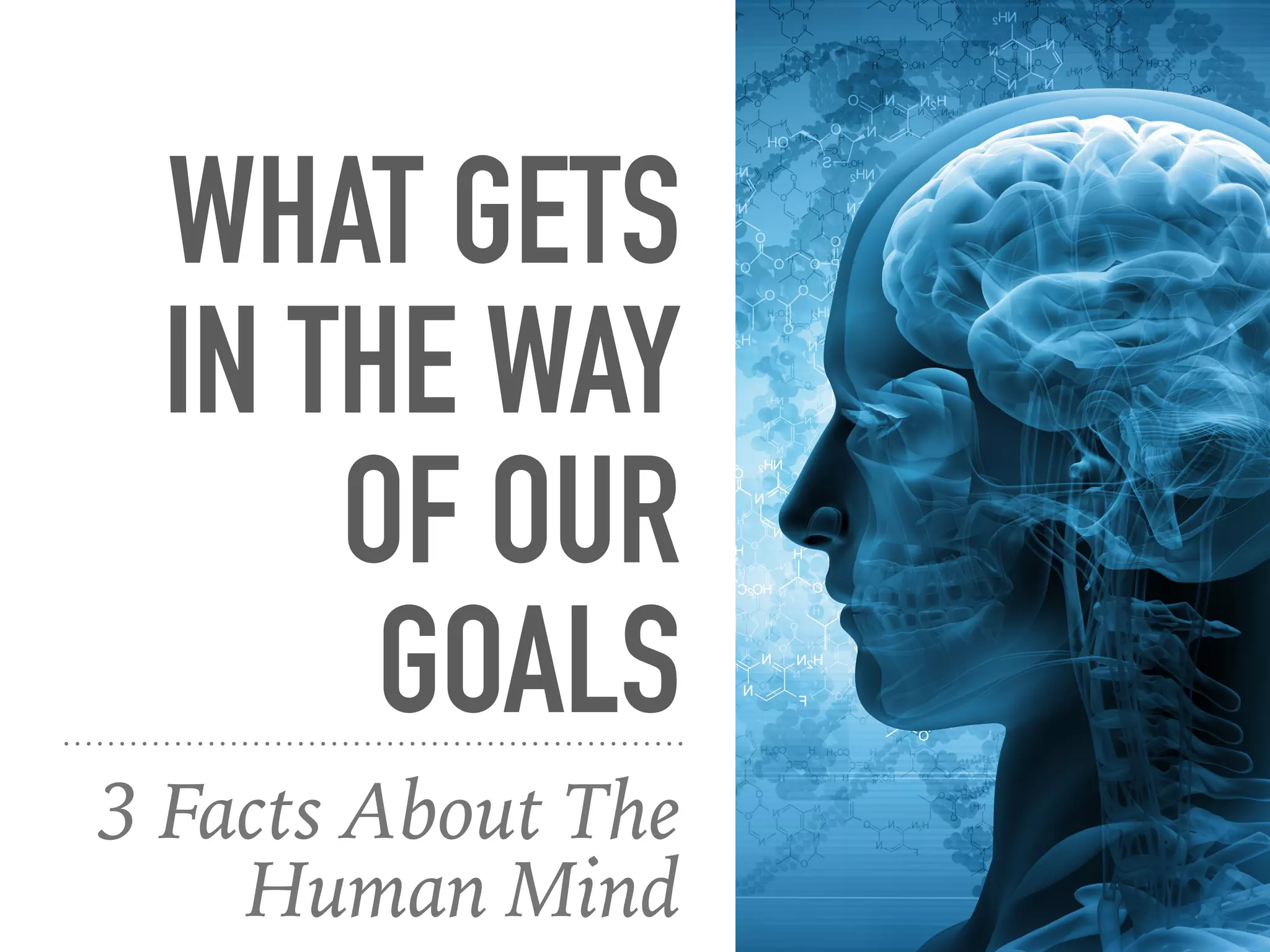 WHAT GETS
IN THE WAY
OF OUR
GOALS
3 Facts About The
Human Mind
 