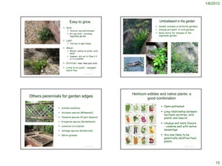 1/6/2013



                                                                                    Easy to grow                                                                                                            Umbrellawort in the garden
                                                                                                                                                                                                    Usually included in butterfly gardens
                                                                             Soils:
                                                                                 Texture: any well-drained
                                                                                                                                                                                                    Unusual pot plant; in rock gardens
                                                                                 pH: any local – including                                                                                         Good choice for margins of the
                                                                                  vegetable garden                                                                                                   vegetable garden

                                                                             Light:
                                                                                   Full sun to light shade
   © 2010 Gary A. Monroe


                                                                             Water:
                                                                                 Winter: plenty of water; soils
                                                                                  moist
                                                                                 Summer: dry out to Zone 1-2
                                                                                  or 2 in summer

                                                                             Fertilizer: none; likes poor soils

                                                                             Little to no mulch – inorganic
                                                                              mulch fine
                                                                                                                     http://mamba.bio.uci.edu/~pjbryant/biodiv/lepidopt/papilio/anise.htm
                                                                                                   © Project SOUND                                                                                                                                                  © Project SOUND
                                                                                                                                                                               http://www.calflora.net/bloomingplants/southerntauschia.html Michelle Cloud-Hughes
                                                                                                                                                                                                                                      © 2006
http://www.laspilitas.com/nature-of-california/plants/tauschia-arguta




                                                                                                                                         Heirloom edibles and native plants: a
             Others perennials for garden edges                                                                                                   good combination

                                                                                                                                                                                                                 Open-pollinated
                                                                         Achillea millefolia

                                                                         Asclepias species (Milkweeds)                                                                                                          Long relationship between
                                                                                                                                                                                                                  heirloom varieties, ‘wild
                                                                         Clematus species (Virgin’s Bowers)                                                                                                      plants’ and insects
                                                                         Eriogonum species (Buckwheats)
                                                                                                                                                                                                                 Unusual and tasty flavors
                                                                         Lomatium utriculatum                                                                                                                    – combine well with native
                                                                         Solidago species (Goldenrods)                                                                                                           seasonings

                                                                         Native grasses                                                                                                                         Are less likely to be
                                                                                                                                                                                                                  genetically modified food
                                                                                                                                                                                                                  plants
                                                                                                                           http://www.byexample.com/homestead/gardens/heirloom_seeds.html
                                                                                                   © Project SOUND                                                                                                                                                  © Project SOUND




                                                                                                                                                                                                                                                                                           15
 