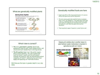 1/6/2013




                                                                                      Genetically modified foods are here
  What are genetically modified plants
                                                                                   Experts say 60% to 70% of processed foods on U.S. grocery
                                                                                    shelves have genetically modified ingredients.

                                                                                   The most common genetically modified foods are soybeans,
                                                                                    maize, cotton, and rapeseed oil. That means many foods made
                                                                                    in the U.S. containing field corn or high-fructose corn syrup;
                                                                                    foods made with soybeans and foods made with cottonseed
                                                                                    and canola oils could likely have genetically modified
                                                                                    ingredients.

                                                                                   These ingredients appear frequently in animal feed as well.


      http://www.precisionnutrition.com/all-about-gm-foods


                                                             © Project SOUND




                                                                                       Keeping old varieties alive is another reason to
                      Which view is correct?                                           plant heirloom seeds: biodiversity is important in
  The U.S. government's position: Genetically
                                                                                                agriculture as well as in nature
   engineered crops are safe, resist disease better, and
   can provide much-needed food in starving nations.
  The EU position: Keep it out. We prefer organic,
   which is much healthier. The risk of genetically
   modified foods to health and the environment
   outweigh the benefits. Only the multinational biotech
   companies will benefit, dominating the world food                           http://www.heirloomseeds.com/



   supply and squeezing out traditional farmers.


We’ll discuss this topic in greater depth in our July
class
                                                                                                                                        © Project SOUND




                                                                                                                                                               16
 