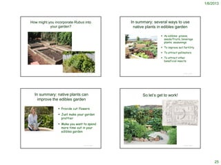 1/6/2013




            How might you incorporate Rubus into                                                                                           In summary: several ways to use
                       your garden?                                                                                                         native plants in edibles garden

                                                                                                                                                            As edibles: greens,
                                                                                                                                                             seeds/fruits, beverage
                                                                                                                                                             plants; seasonings
                                                                                                                                                            To improve soil fertility
                                                                                                                                                            To attract pollinators
                                                                                                                                                            To attract other
                                                                                                                                                             beneficial insects



                                                                       http://www.baynatives.com/plants/Rubus-parviflorus/
                                                                                                                         © Project SOUND                                     © Project SOUND




                      In summary: native plants can                                                                                              So let’s get to work!
                        improve the edibles garden

                                                                     Provide cut flowers
                                                                     Just make your garden
                                                                      prettier
                                                                     Make you want to spend
                                                                      more time out in your
http://cathythomascooks.com/2012/05/01/culinary-gardener-kathryn-
agresto-shares-four-chefs-vegetable-gardens/                          edibles garden



                                                                                                                         © Project SOUND                                     © Project SOUND




                                                                                                                                                                                                    25
 