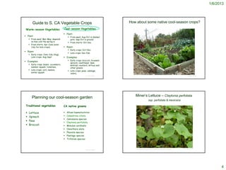 1/6/2013




        Guide to S. CA Vegetable Crops                                           How about some native cool-season crops?
 Warm-season Vegetables                 Cool-season Vegetables
                                         Plant:
 Plant:                                     From seed: Aug-Oct in shaded
      From seed: Mar-May; depends            pots; Sep-Oct in ground
       on how cold the spring is             From starts: Oct-Dec
      From starts: Apr-June (even
       July for late crops)              Ripen:
                                             Early crops: Oct-Nov
 Ripen:
                                             Late crops: Dec-Feb
      Early crops: June-July (Aug)
       Late crops: Aug-Sept              Examples:
 Examples:                                  Early crops: broccoli, brussels
                                              sprouts, cauliflower, kale,
      Early crops: beans, cucumbers,         kohlrabi, mustard, lettuce and
       summer squash, tomatoes,               other greens
      Late crops: corn, melons,             Late crops: peas, cabbage,
       winter squash                          celery,                               http://www.amillionlives.net/vegetable-gardening-tips-easy-ideas-for-great-produces.html

                                                               © Project SOUND                                                                                                          © Project SOUND




                                                                                       Miner’s Lettuce – Claytonia perfoliata
        Planning our cool-season garden
                                                                                                                     ssp. perfoliata & mexicana

 Traditional vegetables                 CA native greens

    Lettuce                               Allium haematochiton
    Spinach                               Calandrinia ciliata
                                           Camissonia species
    Peas
                                           Claytonia perfoliata
    Broccoli                              Mimulus cardinalis
                                           Oenothera elata
                                           Phacelia species
                                           Plantago species
                                           Trifolium species


                                                                                                                                                                               © 2001 Steven Thorsted
                                                                                         http://nativeplantsocietyca.tribe.net/photos/cfd27d18-6ba7-4365-b1d9-c1c7c67b9cbe
                                                               © Project SOUND




                                                                                                                                                                                                                4
 