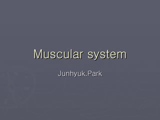 Muscular system Junhyuk.Park 