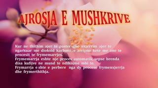 Frymarja Juna Bizhga Frymemarrja shkolla