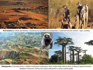 Púšť Kalahari je vlhšia ako Namib, v skutočnosti je jej veľká časť polopúšťou s viacerými druhmi zvierat – napr. surikaty.
Madagaskar je hornatý ostrov s veľkým množstvom endemitov, ktoré nežijú nikde inde na Zemi. Známy je najmä stromami
baobami a lemurmi. Ostrov trpí silným odlesnením a silnou eróziou pôdy.
 