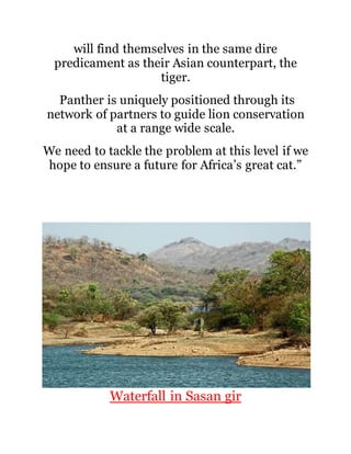 will find themselves in the same dire 
predicament as their Asian counterpart, the 
tiger. 
Panther is uniquely positioned through its 
network of partners to guide lion conservation 
at a range wide scale. 
We need to tackle the problem at this level if we 
hope to ensure a future for Africa’s great cat.” 
Waterfall in Sasan gir 
 
