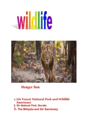 Denger lion 
1. Gir Forest National Park and Wildlife 
Sanctuary 
2. Gir National Park, Devalia 
3. The Mitiyala and Gir Sanctuary 
 