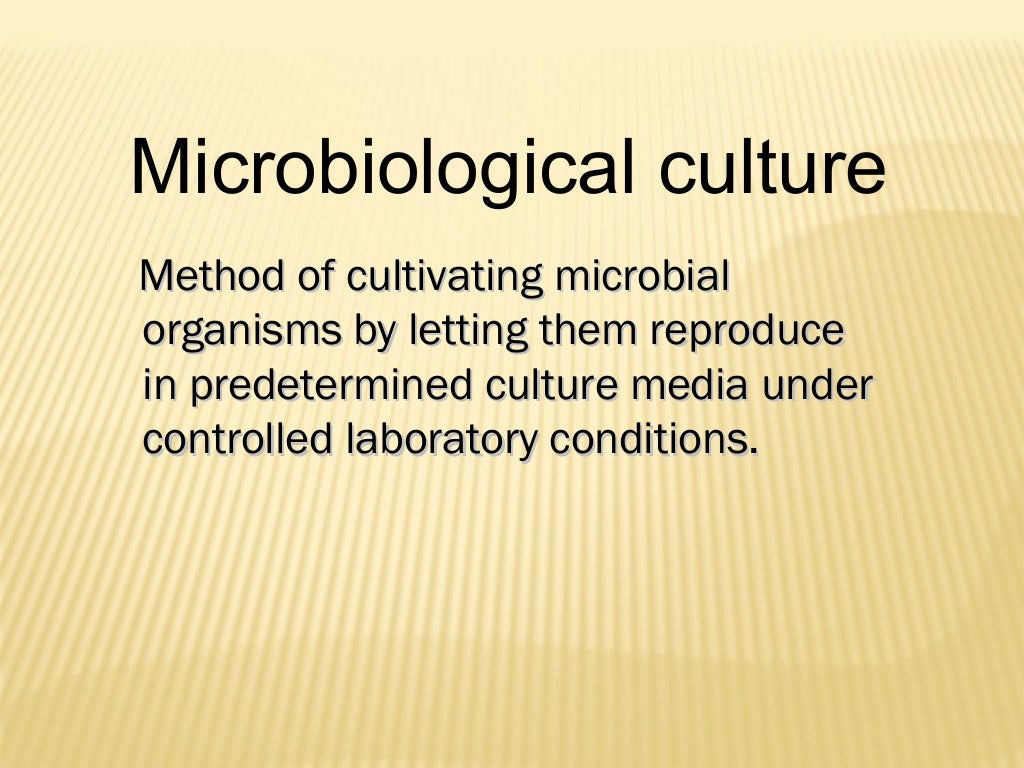 CULTURE MEDIA USED IN MICROBIOLOGY