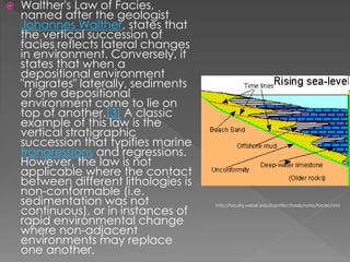  Walther's Law of Facies,
named after the geologist
Johannes Walther, states that
the vertical succession of
facies reflects lateral changes
in environment. Conversely, it
states that when a
depositional environment
"migrates" laterally, sediments
of one depositional
environment come to lie on
top of another.[3] A classic
example of this law is the
vertical stratigraphic
succession that typifies marine
trangressions and regressions.
However, the law is not
applicable where the contact
between different lithologies is
non-conformable (i.e.
sedimentation was not
continuous), or in instances of
rapid environmental change
where non-adjacent
environments may replace
one another.
http://faculty.weber.edu/bdattilo//fossils/notes/facies.html
 