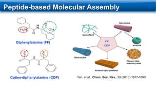 Peptide-based Molecular Assembly
Cation-diphenylalanine (CDP)
Diphenylalanine (FF)
Yan. et al., Chem. Soc. Rev., 39 (2010)...