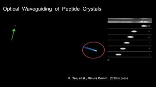 K. Tao, et al., Nature Comm. 2018 in press
Optical Waveguiding of Peptide Crystals
 